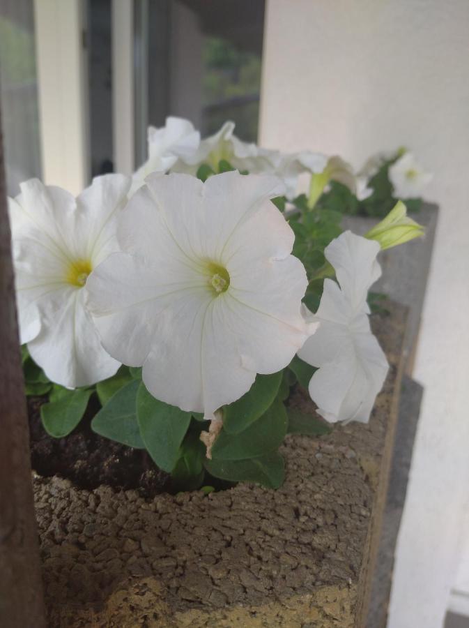 Pokoj W Karpaczu Apartment Luaran gambar